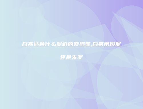 白茶适合什么泥料的紫砂壶,白茶用段泥还是朱泥