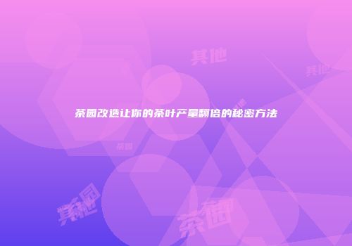 茶园改造让你的茶叶产量翻倍的秘密方法