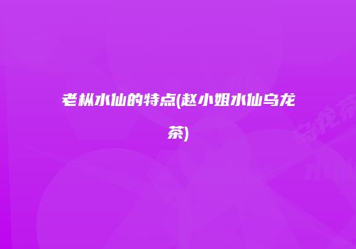 老枞水仙的特点(赵小姐水仙乌龙茶)