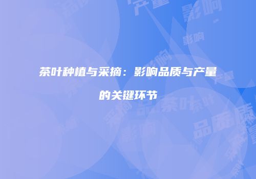 茶叶种植与采摘：影响品质与产量的关键环节