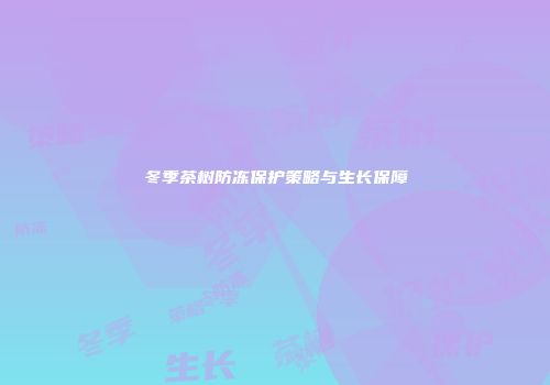 冬季茶树防冻保护策略与生长保障