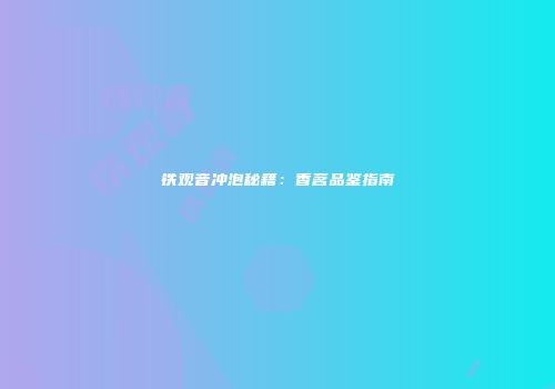 铁观音冲泡秘籍：香茗品鉴指南