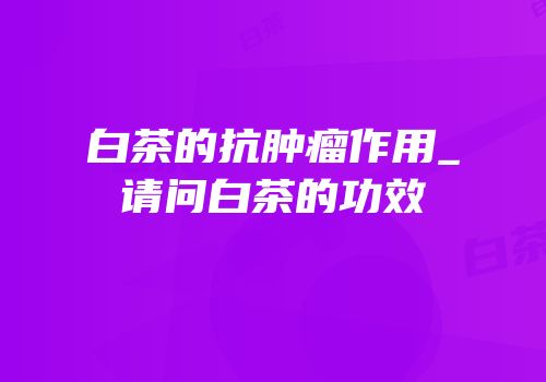 白茶的抗肿瘤作用_请问白茶的功效