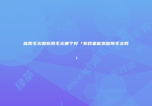 信阳毛尖和紫阳毛尖哪个好「紫砂壶能泡信阳毛尖吗」