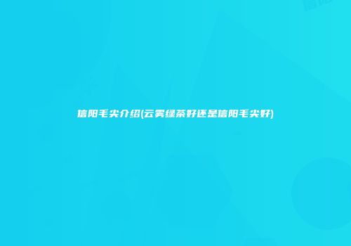 信阳毛尖介绍(云雾绿茶好还是信阳毛尖好)
