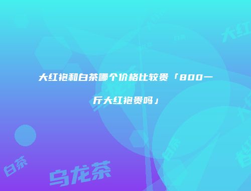 大红袍和白茶哪个价格比较贵「800一斤大红袍贵吗」