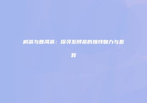 臧茶与普洱茶：探寻发酵茶的独特魅力与差异