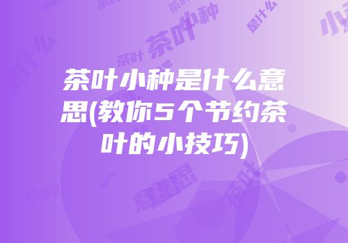 茶叶小种是什么意思(教你5个节约茶叶的小技巧)