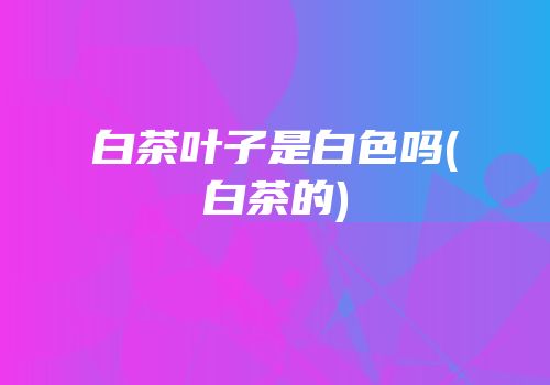 白茶叶子是白色吗(白茶的)