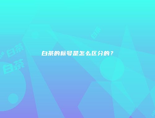 白茶的标号是怎么区分的？