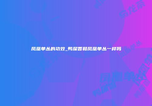 凤凰单丛的功效_鸭屎香和凤凰单丛一样吗
