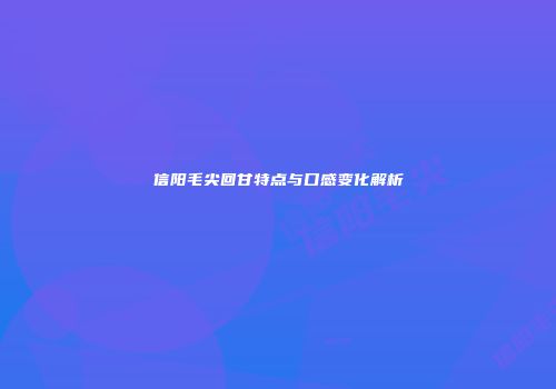 信阳毛尖回甘特点与口感变化解析