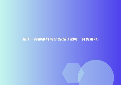 树干一样的茶叶叫什么(像干树叶一样的茶叶)