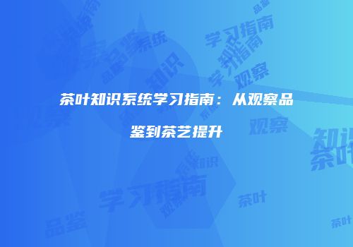 茶叶知识系统学习指南：从观察品鉴到茶艺提升