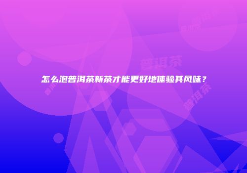 怎么泡普洱茶新茶才能更好地体验其风味？