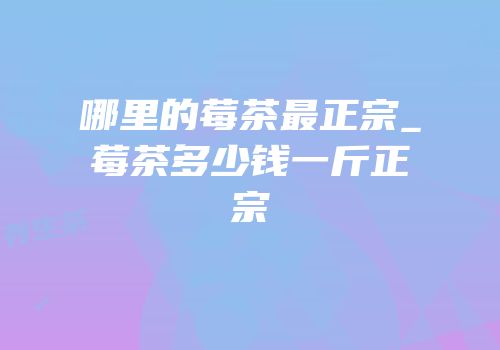 哪里的莓茶最正宗_莓茶多少钱一斤正宗