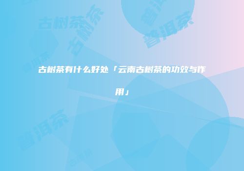 古树茶有什么好处「云南古树茶的功效与作用」