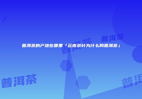 普洱茶的产地在哪里「云南茶叶为什么叫普洱茶」