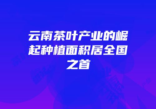 云南茶叶产业的崛起种植面积居全国之首