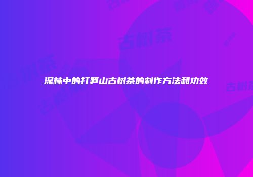 深林中的打笋山古树茶的制作方法和功效