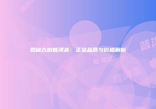 揭秘古树普洱茶：正宗品质与价格解析