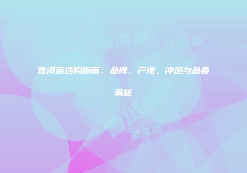 普洱茶选购指南：品牌、产地、冲泡与品质解析