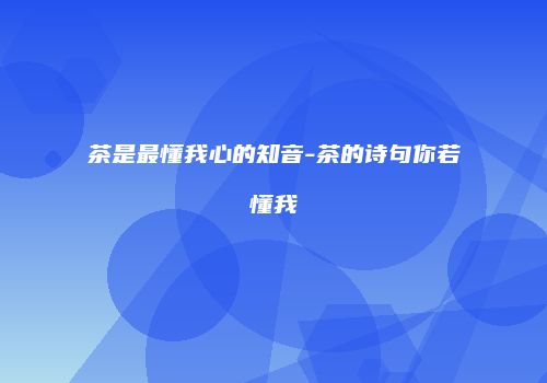 茶是最懂我心的知音-茶的诗句你若懂我