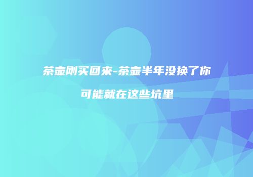 茶壶刚买回来-茶壶半年没换了你可能就在这些坑里