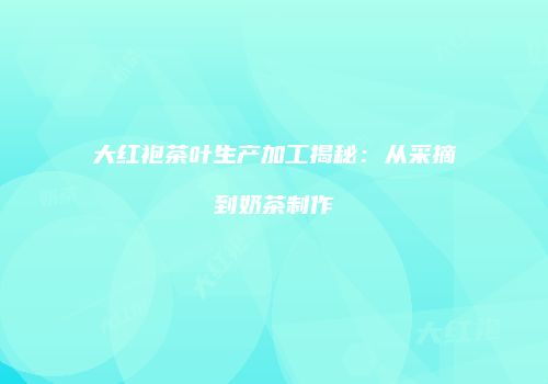大红袍茶叶生产加工揭秘：从采摘到奶茶制作