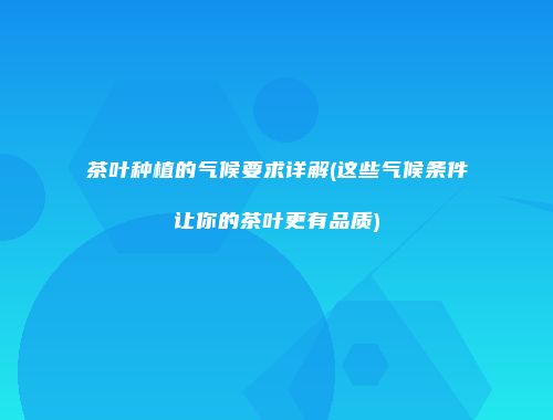 茶叶种植的气候要求详解(这些气候条件让你的茶叶更有品质)