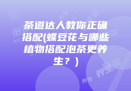 茶道达人教你正确搭配(蝶豆花与哪些植物搭配泡茶更养生？)