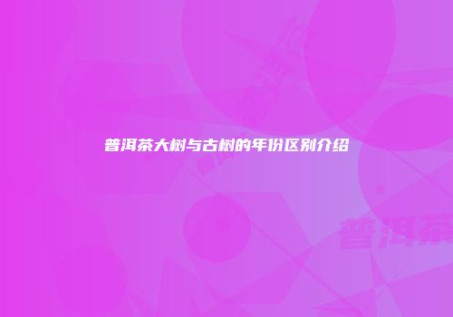 普洱茶大树与古树的年份区别介绍