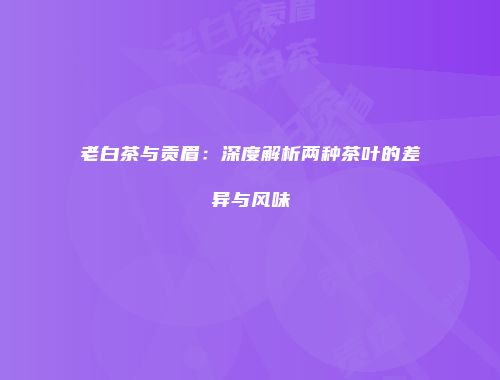 老白茶与贡眉：深度解析两种茶叶的差异与风味