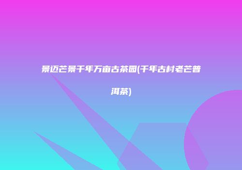 景迈芒景千年万亩古茶园(千年古村老芒普洱茶)