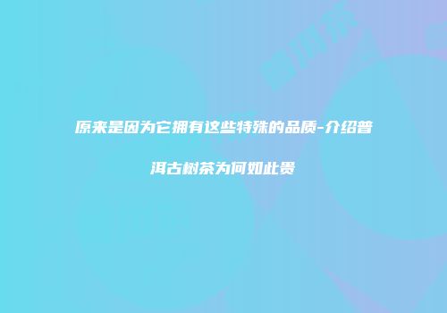 原来是因为它拥有这些特殊的品质-介绍普洱古树茶为何如此贵