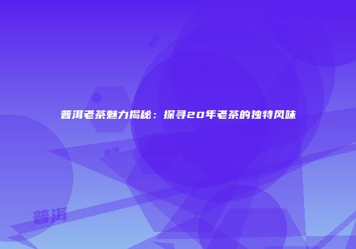 普洱老茶魅力揭秘：探寻20年老茶的独特风味
