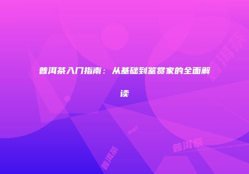 普洱茶入门指南：从基础到鉴赏家的全面解读