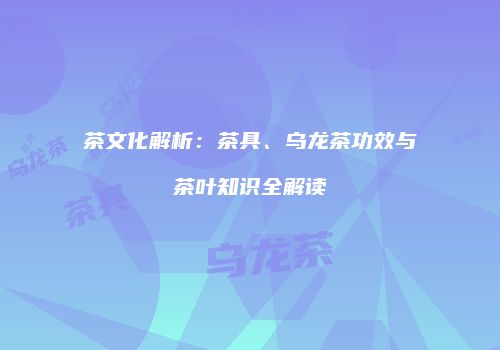 茶文化解析：茶具、乌龙茶功效与茶叶知识全解读