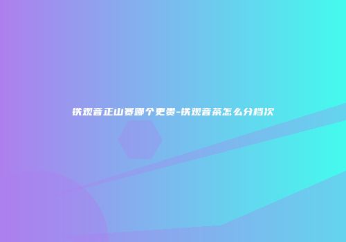 铁观音正山赛哪个更贵-铁观音茶怎么分档次