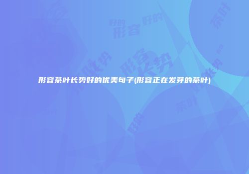 形容茶叶长势好的优美句子(形容正在发芽的茶叶)