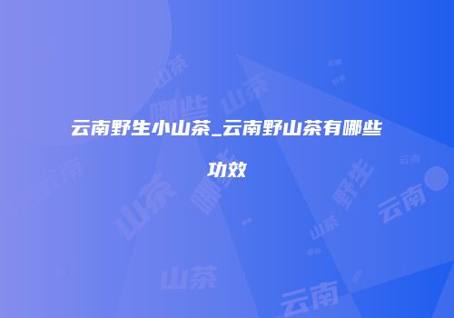 云南野生小山茶_云南野山茶有哪些功效