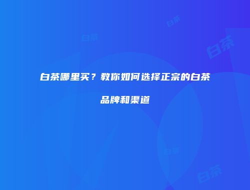 白茶哪里买？教你如何选择正宗的白茶品牌和渠道