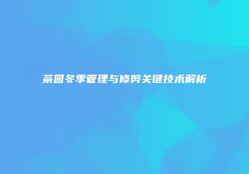 茶园冬季管理与修剪关键技术解析