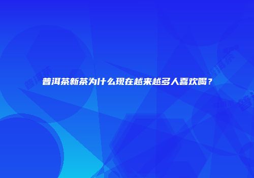 普洱茶新茶为什么现在越来越多人喜欢喝？