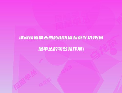 详解凤凰单丛的药用价值和茶叶功效(凤凰单丛的功效和作用)