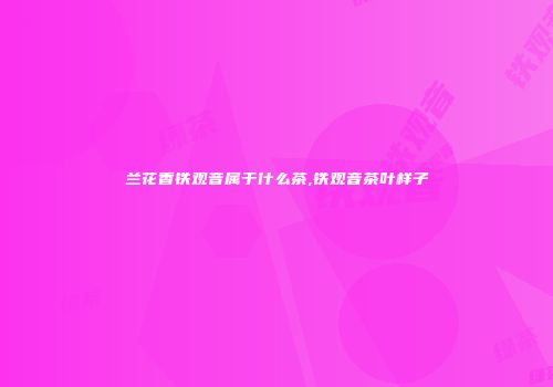 兰花香铁观音属于什么茶,铁观音茶叶样子
