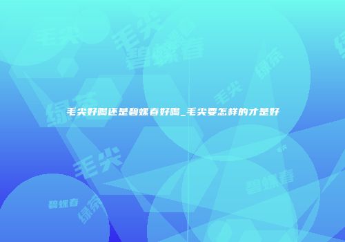 毛尖好喝还是碧螺春好喝_毛尖要怎样的才是好
