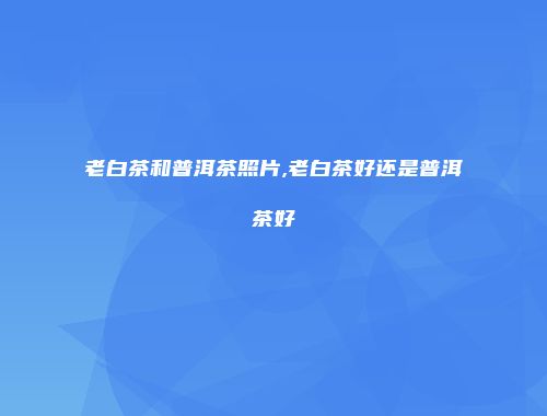 老白茶和普洱茶照片,老白茶好还是普洱茶好