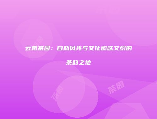 云南茶园：自然风光与文化韵味交织的茶韵之地