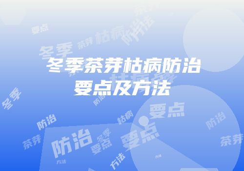 冬季茶芽枯病防治要点及方法